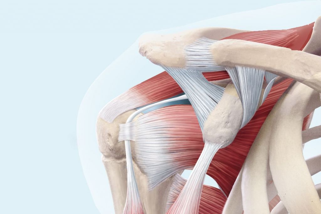 Rotatorenmanschettenruptur Ursachen Und Behandlung KSW