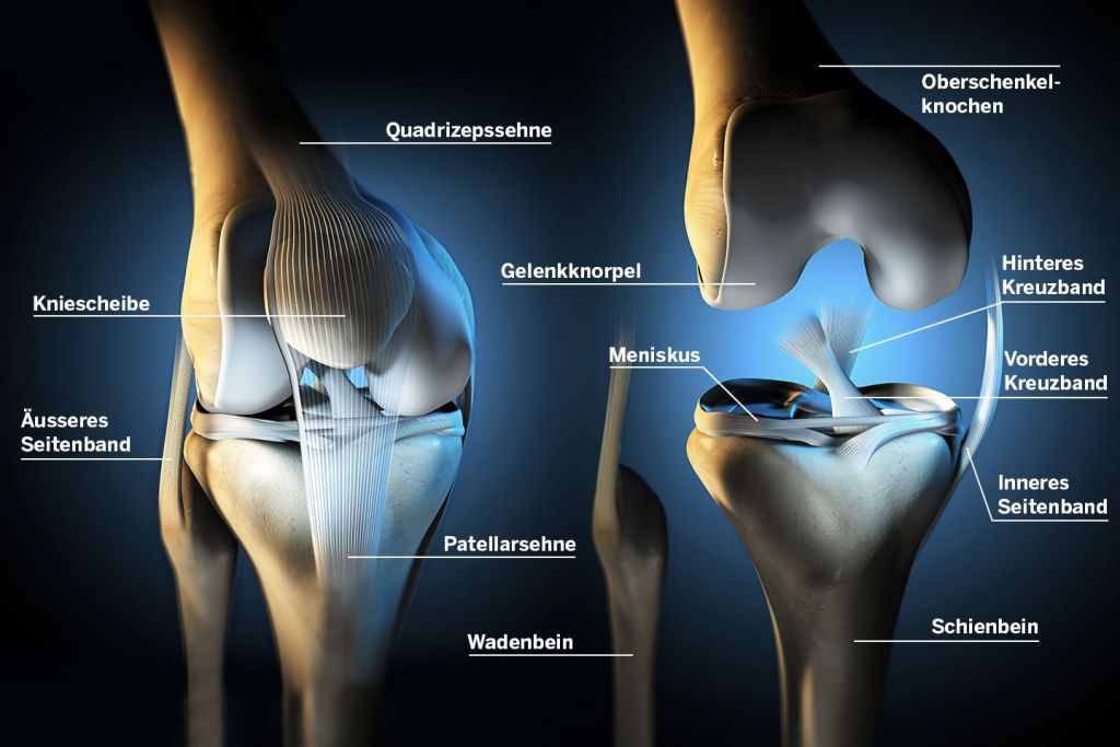 Knie / Kniegelenk: Erkrankungen Und Verletzungen | KSW